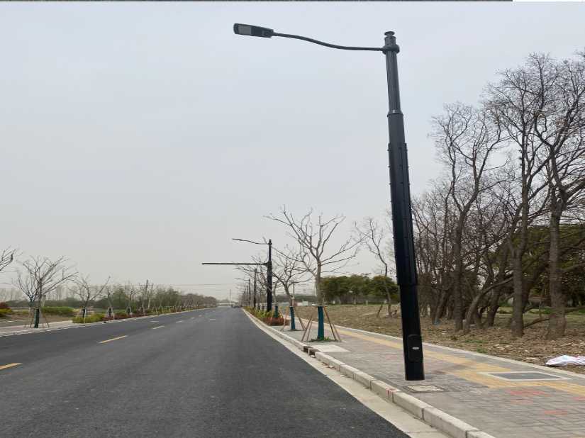 浪卡子县上海综合杆 太阳能路灯工程